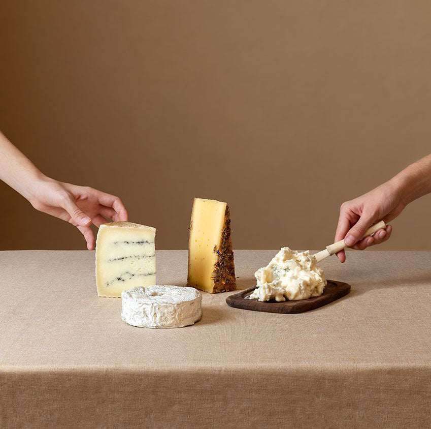 Guía para dummies: los diferentes tipos de queso y cómo reconocerlos