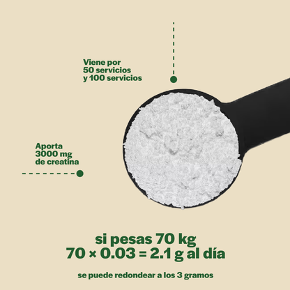 Creatina Monohidratada Pura – Sin Sabor
